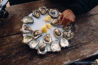 Oysters- quick snack in Croatia